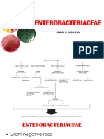 EXO-Notes JBC ENTEROBACTERIACEAE