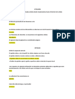 Preguntas Histo Prueba