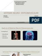 Sistema Neuro Osteomuscular