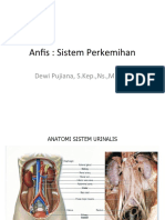 Anfis perkemihan