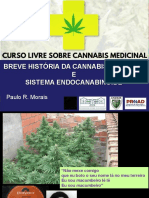 Breve história da cannabis medicinal e sistema endocanabinóide