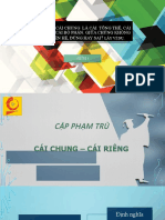 Cặp phạm trù cái riêng - cái chung (Trần M)