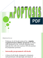 5 apoptosis