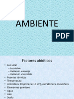 Ambient e