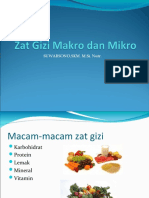 2 Zat Gizi Makro Dan Mikro