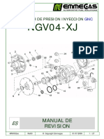MRV002 Manual Revision Regulador GNC NGV04XJ Es