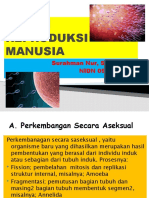 Organ Reproduksi