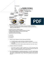 Actividad Infografías