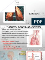 SISTEM PERNAFASAN MANUSIA