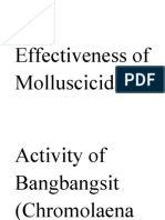 The Effectiveness of Molluscicidal Activity of Bangbangsit (Research Title) )