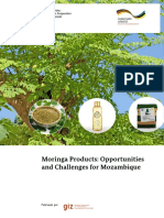 298645829 GIZ Moringa Products Opportunities and Challenges Mozambique
