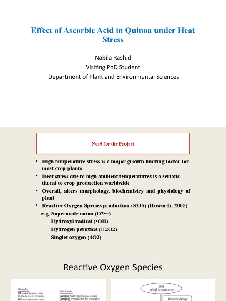 Ascorbic Acid Boosts Quinoa Heat Tolerance | PDF | Reactive Oxygen ...