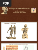 Anatomía de los músculos del torso | PDF | Sistema musculoesquelético ...