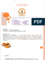 Curcumae: Dosen Pengampu: Rohima Robby, S.PD., M.PD