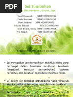 Sel Tumbuhan