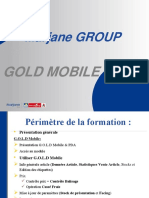 Support Formation Gold Mobile 06 2012