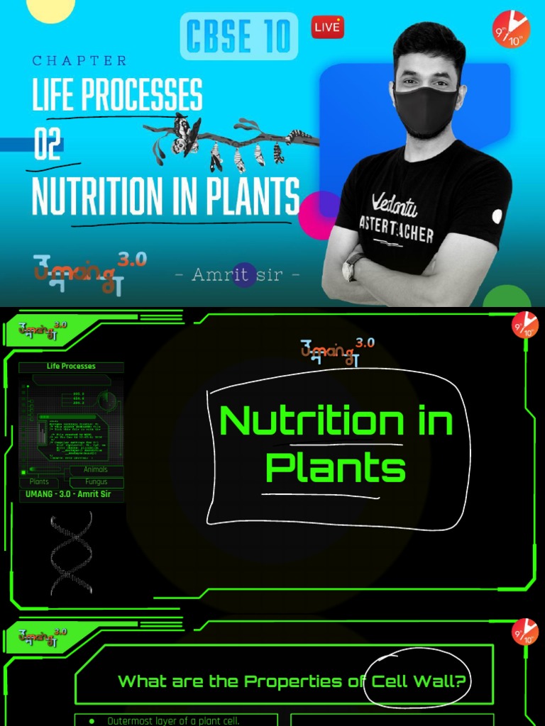 Life Processes: UMANG - 3.0 - Amrit Sir | PDF | Stoma | Photosynthesis