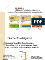 PDF Termo t3 Compress