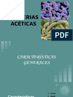 Bacterias Acéticas