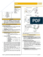 2023.Neuroscience.trans14.Autonomic Nervous System