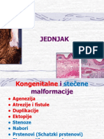 Jednjak 20 21