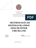 Metodología de Sistemas Blandos (SSM) de Peter Checkland