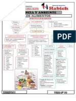 Tema 12 Resumen Ciencia y Ambiente