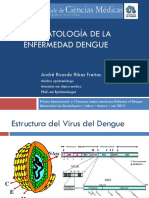 Fisiopatologia de La Enfermedad Dengue U