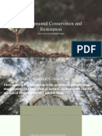 Environmental Conservation and Restoration