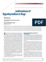 Neurologic Manifestations of Hypothyroidism in Dogs