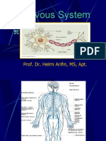 Nervous System: Prof. Dr. Helmi Arifin, MS, Apt