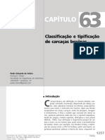Document - Onl - Capitulo Fea Efeliciocapitulo Classificacaopdf 1260 Classificacao