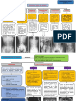 Imagenologia de Abdomen 