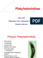 Phylum Platyhelminthes: BIO 2215 Oklahoma City Community College Dennis Anderson