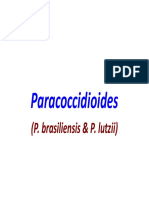 Paracoccidioides: (P. Brasiliensis & P. Lutzii)