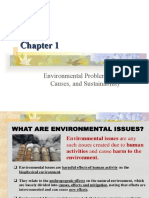 Environmental Problems, Their Causes, and Sustainability