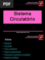sistemacirculatorioelinfatico