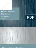 Desarrollo Del Sistema Nervioso Periférico y Autónomo