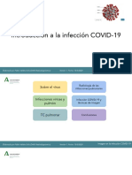 Introducción A La Infección COVID-19