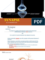 SYNAPSE - PPT (Best)