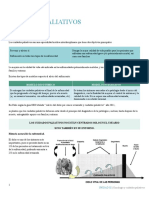 Cuidados Paliativos Oncologia