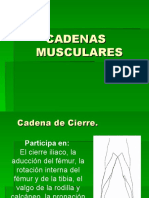 Cadenas Musculares