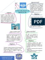 TRAFICO AÉREO Mapa Mental Oaci IATA