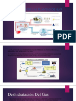 Funciones de Las Plantas de Gas (1PC)