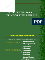 Struktur Fungsi Tumbuhan