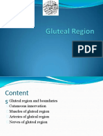 Glutealregion 140107113927 Phpapp01