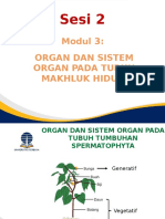 Modul 3: Organ Dan Sistem Organ Pada Tubuh Makhluk Hidup: Sesi 2