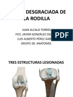 Caso Clínico Anatomia - TRIADA DESGRACIADA