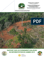 Evènements Majeurs de Déforestation 2019
