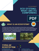 Eco Systems - What Are Its Componens